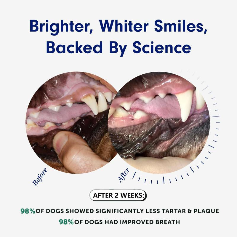 Bolo Tails Dental Powder, Breath Freshener and Teeth Cleaning Dental Care for Dogs, Plaque Tartar Remover- the Vet-Approved Dental Powder That Makes Dog Teeth Care Effortless