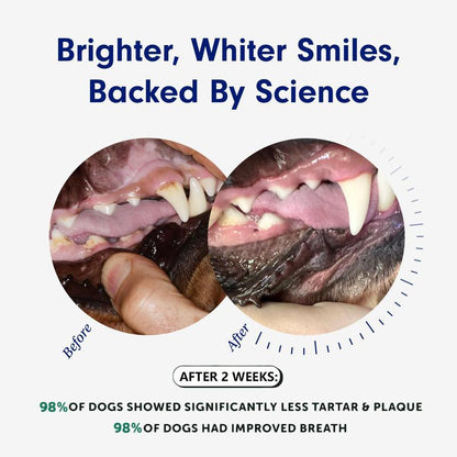 Bolo Tails Dental Powder, Breath Freshener and Teeth Cleaning Dental Care for Dogs, Plaque Tartar Remover- the Vet-Approved Dental Powder That Makes Dog Teeth Care Effortless